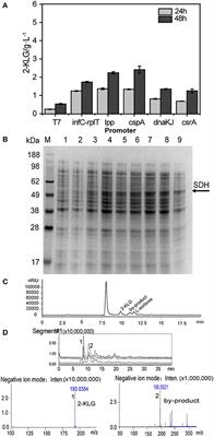 High Throughput Screening Platform for a FAD-Dependent L-<mark class="highlighted">Sorbose</mark> Dehydrogenase